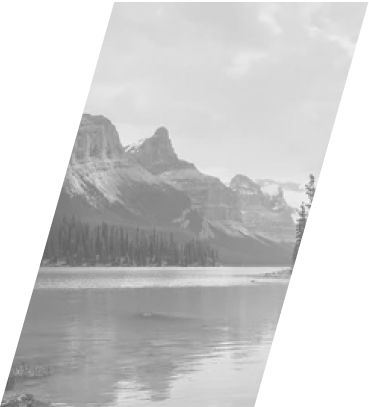 Terrano